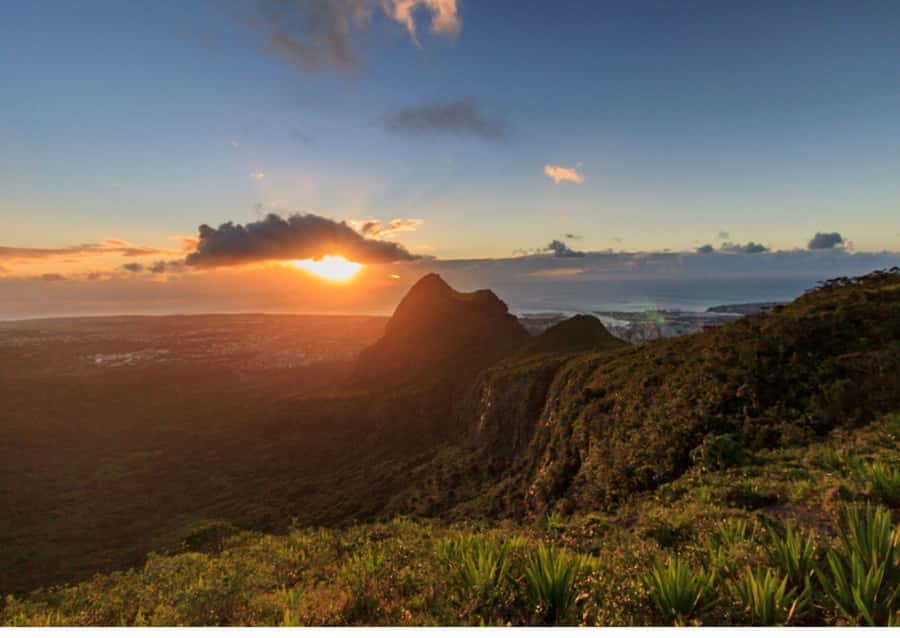 Mauritius: Le Pouce Guided Hiking Experience with a local - Reaching the 812-meter summit
