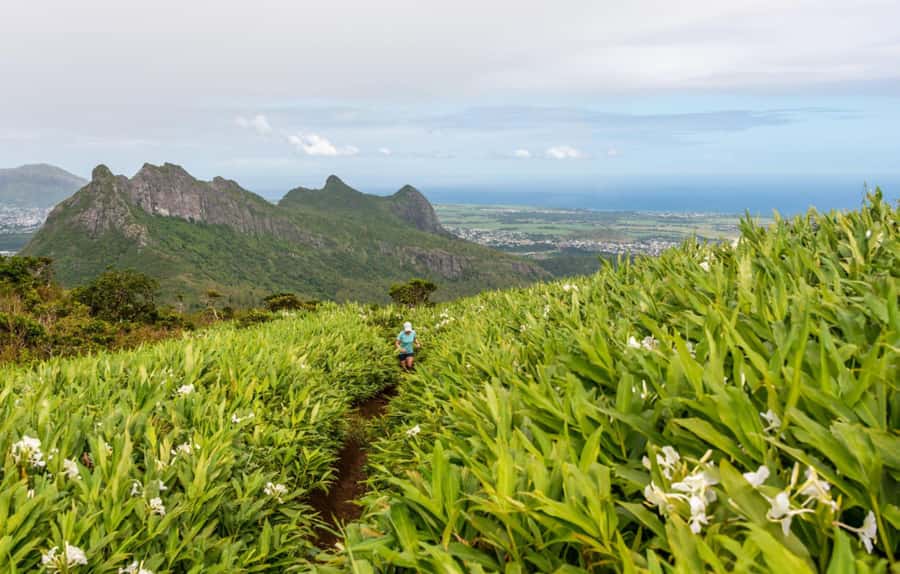 Mauritius: Le Pouce Guided Hiking Experience with a local - Sunrise, sunset, and weather choices