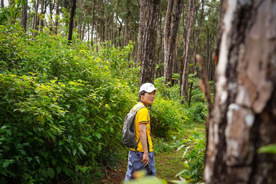 Mauritius: Sunrise Mountain Hike with Southwest Road-trip - Key points to know before booking