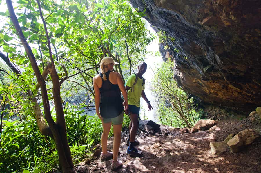 Mauritius: The Iconic Waterfalls hike + Mauritian picnic - Four waterfalls, forest paths, and wide valley views