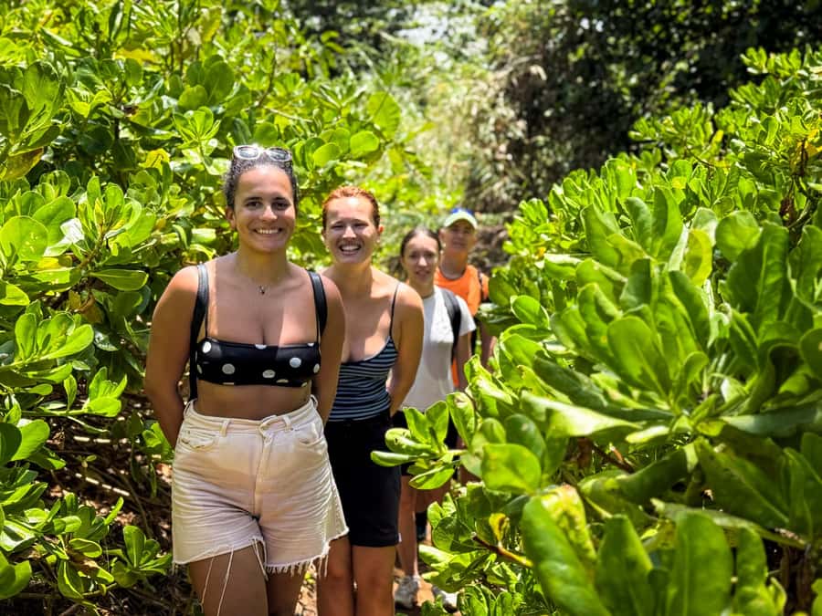 Mauritius: The Wild South Hiking Tour with a Guide - What the $65 price gets you