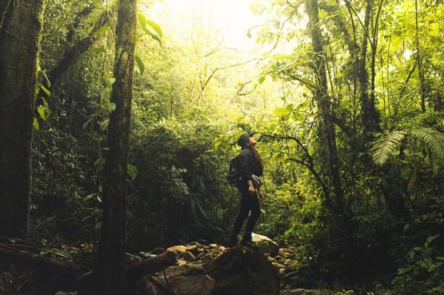 Medellín: Secret Waterfall Hike Tour with Snack and Coffee - The first 1.5 hours on the trail