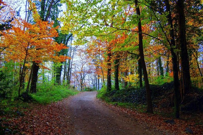 Medieval Villages & La Garrotxa Volcanic Zone Hiking. Small Group Tour - Lunch near the park, with an extra charge