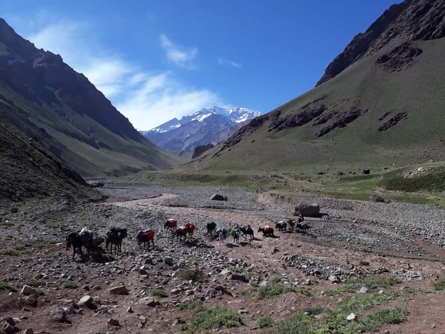 Mendoza: Mt. Aconcagua Confluencia Camp Trekking - Key points to know before you go
