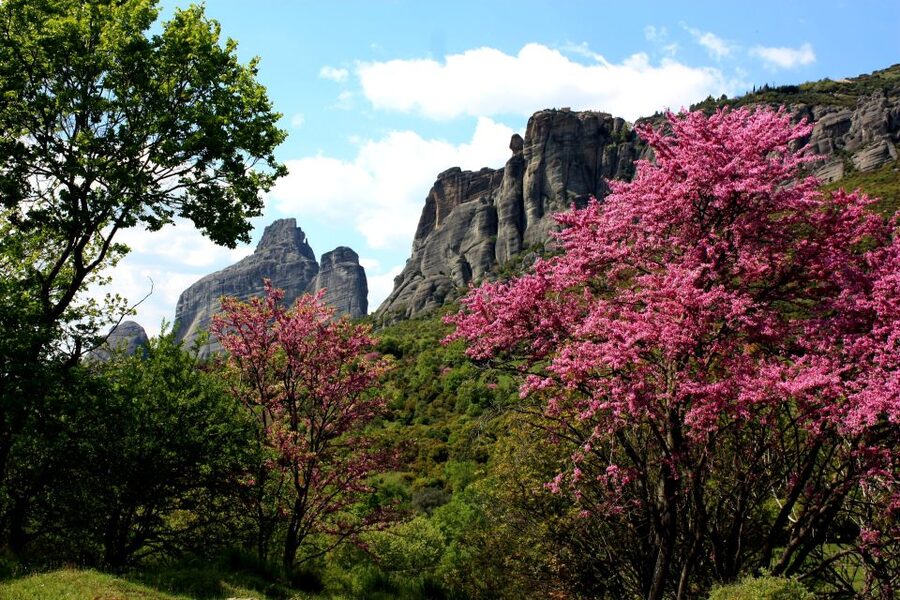 Meteora: Easy Hiking Adventure - Through the forest to the Monastery of Visitation of Jesus