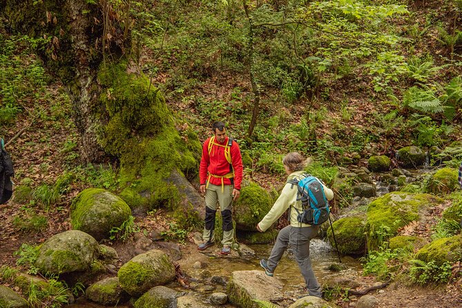Meteora Small Group Hiking tour with Transfer and Monastery Visit - The guides make the difference