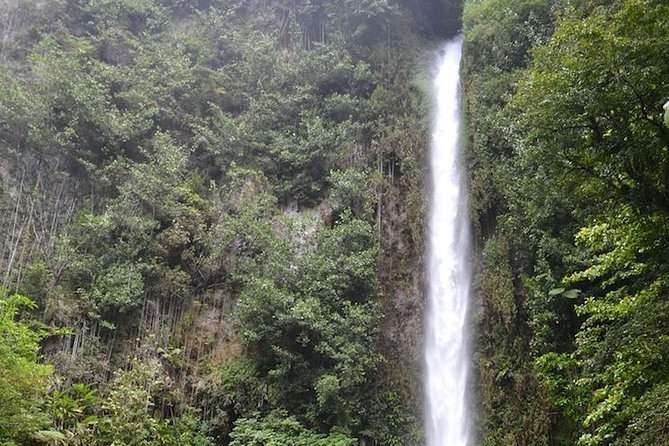 Middleham Falls Hike and Ti'tou Gorge Half-Day Excursion - Key points at a glance
