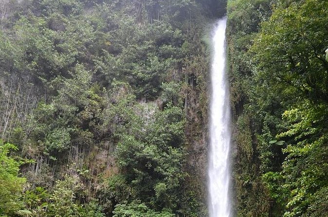 Middleham Falls Hike and Ti'tou Gorge Half-Day Excursion - The real value of the $130 price