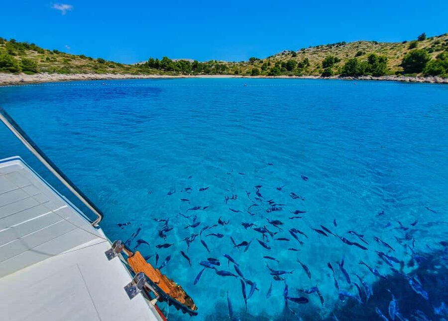 Mikado Kornati Excursion with snorkeling and hiking stops - Who should book this excursion