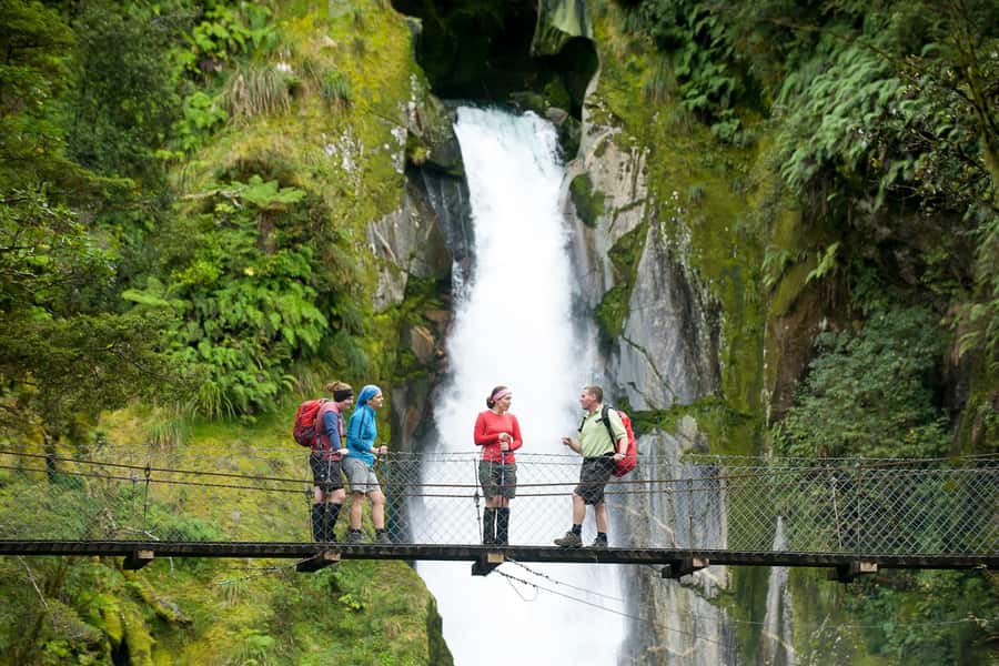 Milford Track: Full Day Guided Hike and Nature Cruise - Why combining the track and cruise makes sense