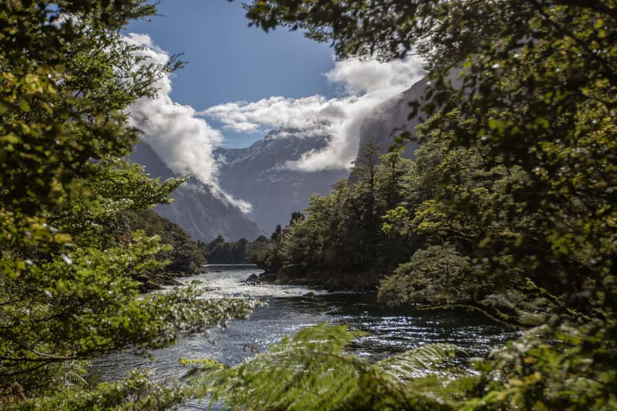 Milford Track: Full Day Guided Hike and Nature Cruise - Crossing Deep Water Basin by water taxi