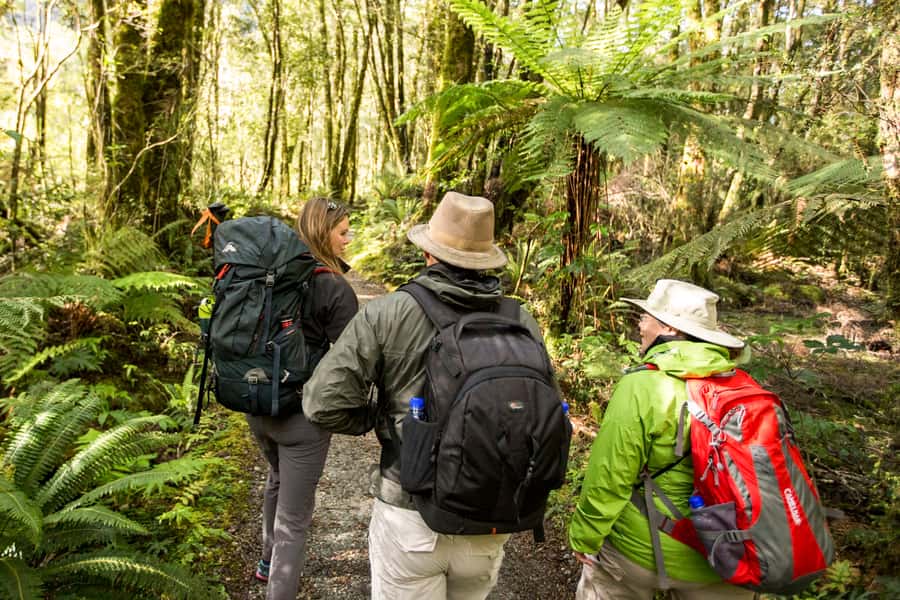Milford Track: Full Day Guided Hike and Nature Cruise - A two-hour small-boat cruise on Milford Sound