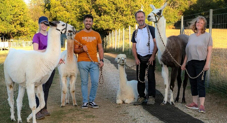 Mödling/Vienna: Scenic Guided Hike with Alpacas and Llamas - Who will enjoy this most