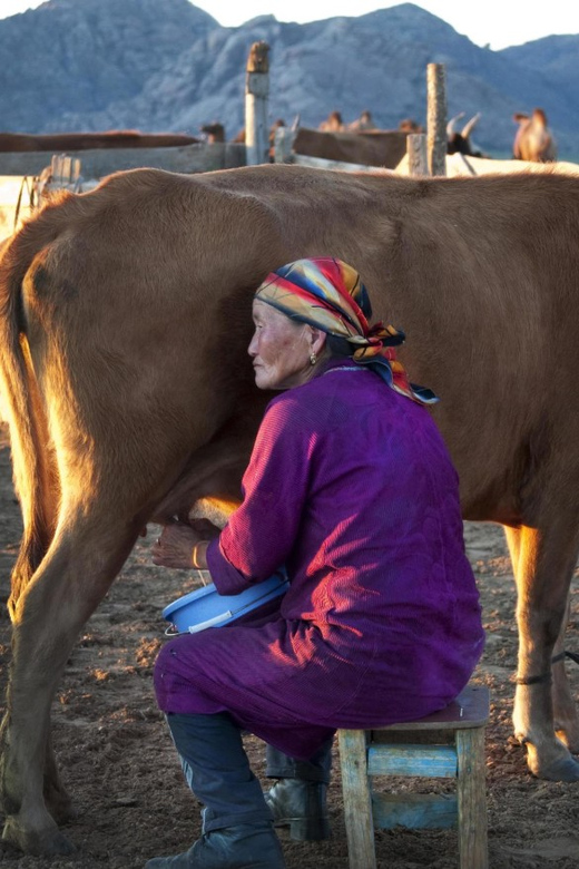MONGOLIAN NOMADS: 2-Day Horse Trekking & Cow Milking Tour - What $369 includes, and what it does not