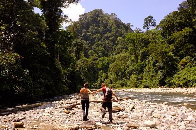 Monkey Business 3 days - 2 nights Jungle trekking (including rafting) - Food, water, and daily comfort