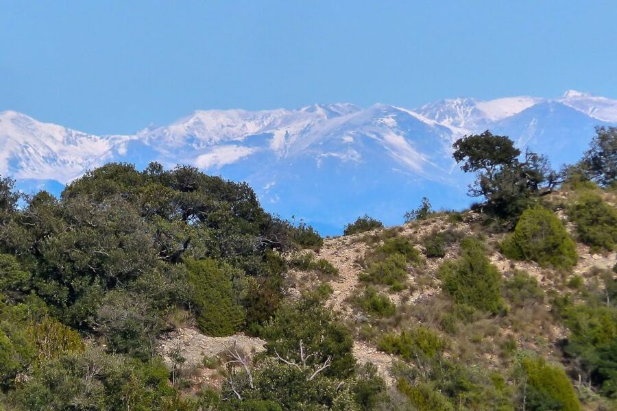 Montserrat: 6-Hour Tour with a Choice of 3 Levels of Hiking - Choosing among three hiking levels