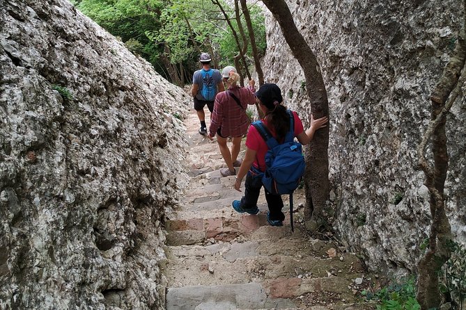 Montserrat Hiking Experience & Monastery Premium Small Group Tour - Who should book this Montserrat outing?