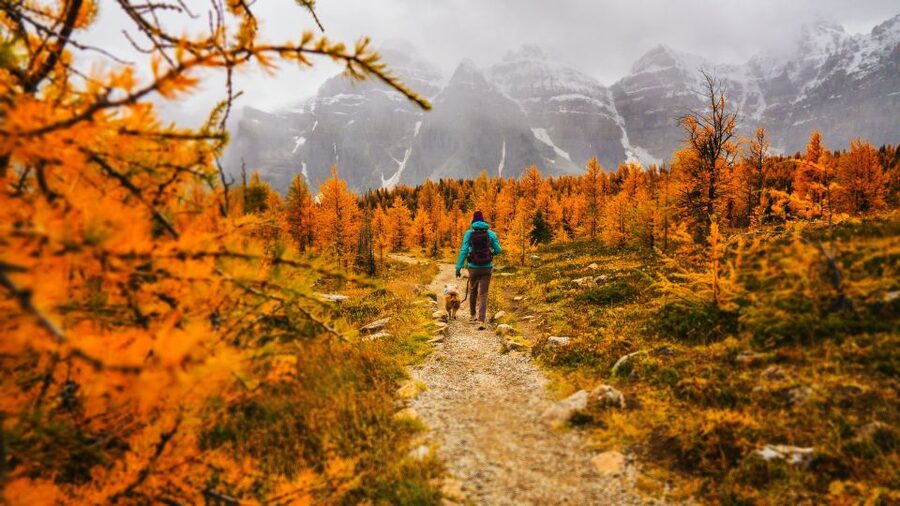 Moraine Lake & Larch Valley Hike - What you should pack for an October mountain day