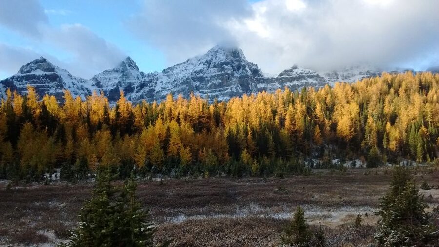 Moraine Lake & Larch Valley Hike - Who gets the best value from this experience