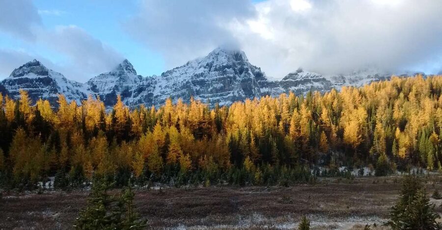 Moraine Lake & Larch Valley Hike - Hotel pickup solves Moraine Lake’s hardest problem