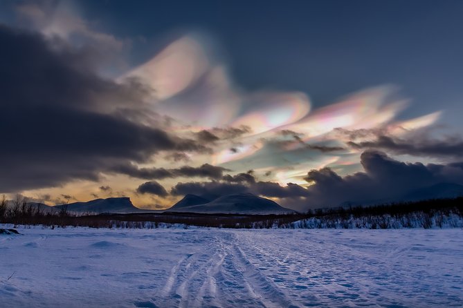 Morning hike in Abisko National Park - How much value do you get for $91.71?