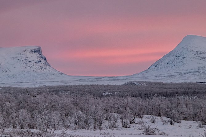 Morning hike in Abisko National Park - Who will enjoy this walk most?