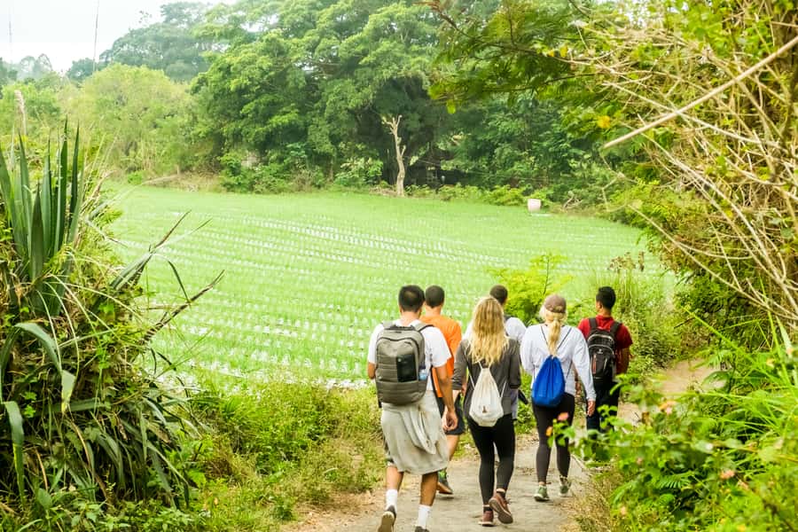 Mount Batur: 2D1N Kintamani Tour with Private Sunrise Hiking - Your Kintamani night: useful rest, not just a hotel stop