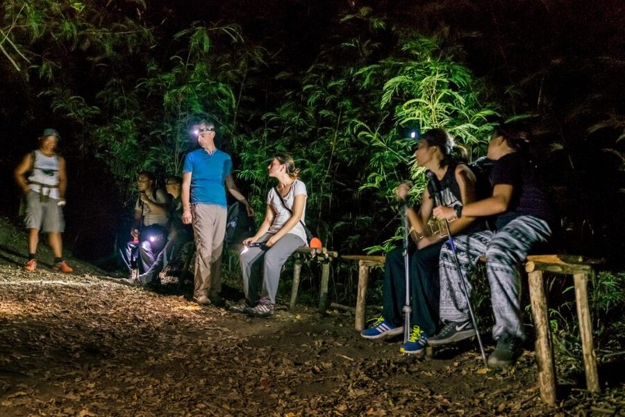 Mount Batur: 2D1N Kintamani Tour with Private Sunrise Hiking - Who should book this Mount Batur tour?
