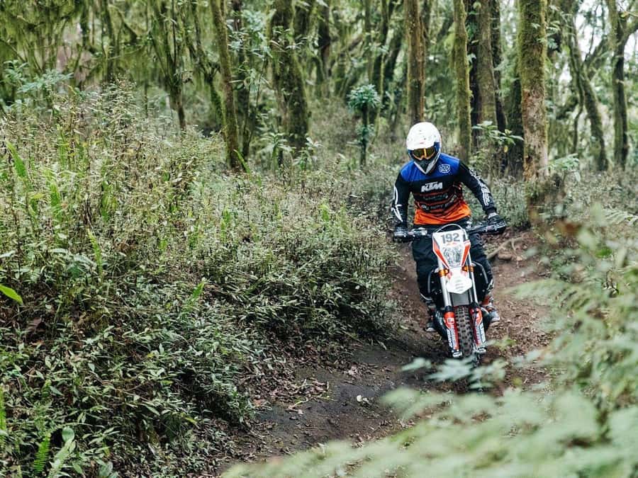 Mount Batur: Sunrise Dirt Bike Trek with Trained Riders - Three craters and a daylight return