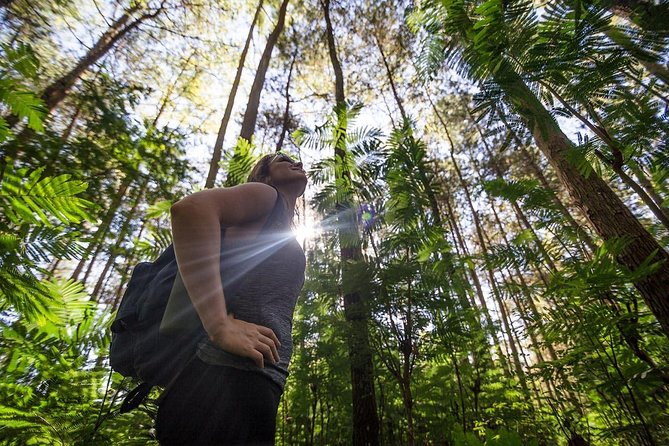 Mount Batur Sunrise Hike with Breakfast - Pickup, timing, and the long Bali morning