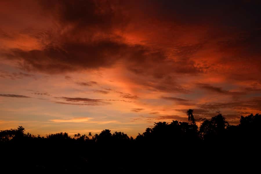 Mount Batur Sunrise Trek & Hot Springs Tour - Sunrise at 1,717 meters