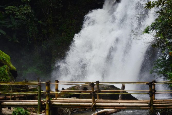 Mount Doi Inthanon Hiking & Bird Watching - The 1.5-hour nature trail