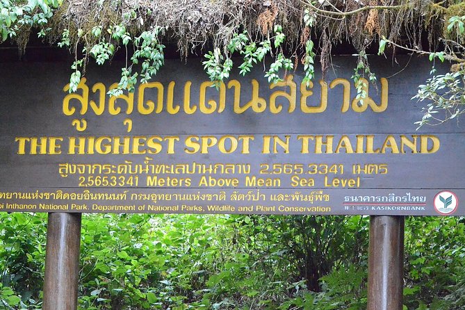 Mount Doi Inthanon Hiking & Bird Watching - How difficult is the day?