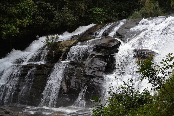 Mount Doi Inthanon National Park Sunrise and Hiking - Who should book this Doi Inthanon day trip?