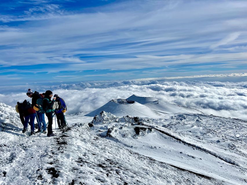 Mount Etna: Hike to The Highest Point With a Guide - Fumaroles, hot gases, and volcanic views