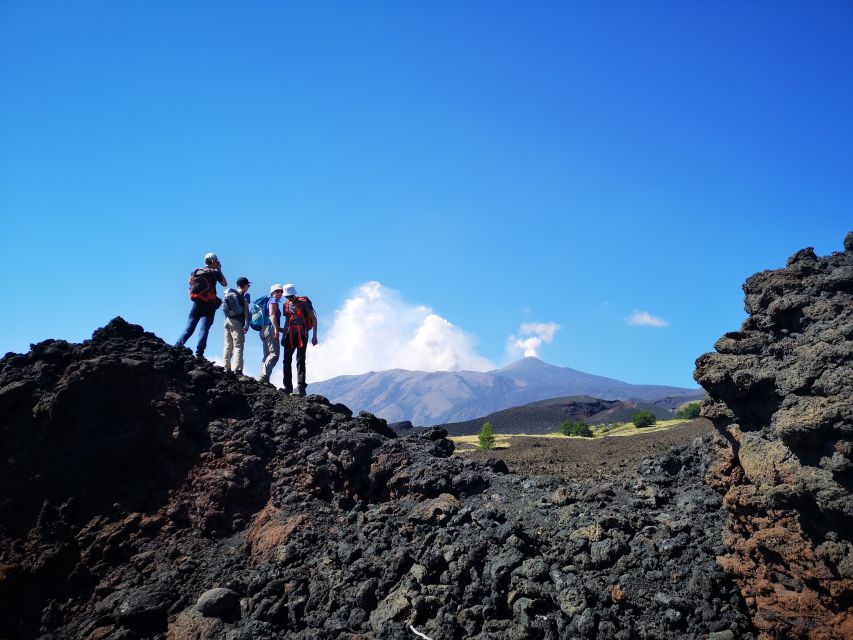 Mount Etna: Trek to the Craters of The 2002 Eruption - What you see on the walk