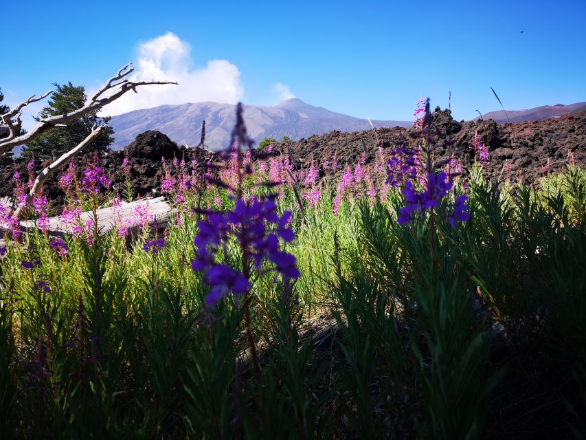 Mount Etna: Trek to the Craters of The 2002 Eruption - Who should book this Etna outing?
