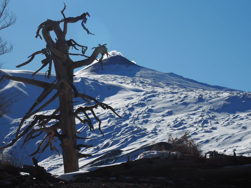 Mount Etna: Trek to the Craters of The 2002 Eruption - The view toward Naxos and Calabria
