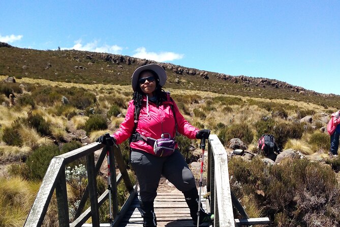 Mount Kilimanjaro Day Hike - Marangu Gate: registration before the forest