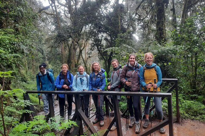 Mount Kilimanjaro Day Hike Through Marangu Route to Mandara Hut - What this Kilimanjaro day hike really offers
