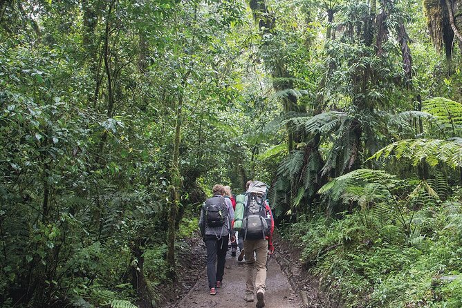 Mount Kilimanjaro Day Hike Through Marangu Route to Mandara Hut - How difficult is the hike?