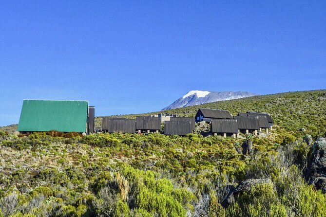 Mount Kilimanjaro Day Hike Through Marangu Route to Mandara Hut - The 6:00 a.m. start from Arusha