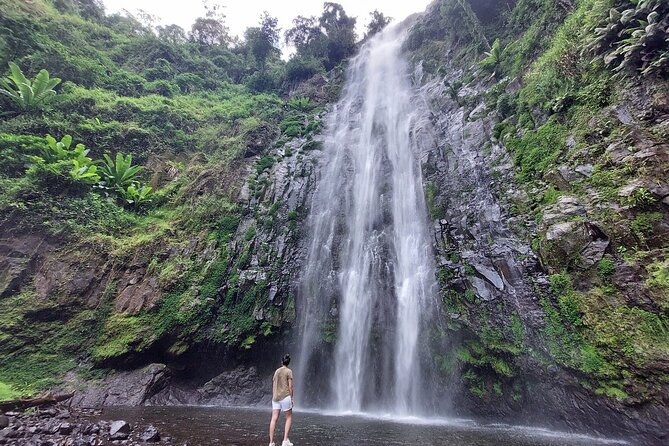 Mount Kilimanjaro day trip trekking - A full day beyond Arusha