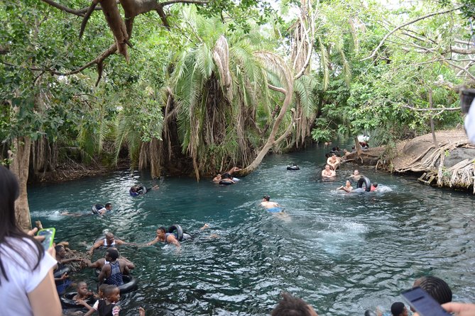 Mount Kilimanjaro day trip trekking - Ending at Kikuletwa Hot Springs