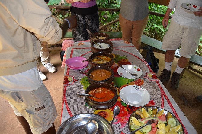 Mount Kilimanjaro day trip trekking - What the $90 price covers