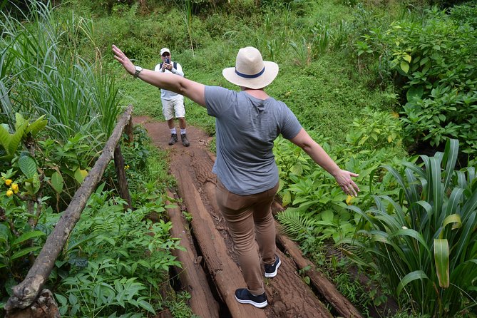 Mount Kilimanjaro day trip trekking - The guide and the character of the day