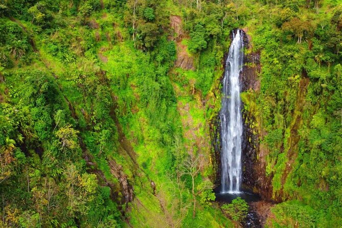 Mount Kilimanjaro day trip trekking - Timing, transport, and what to bring