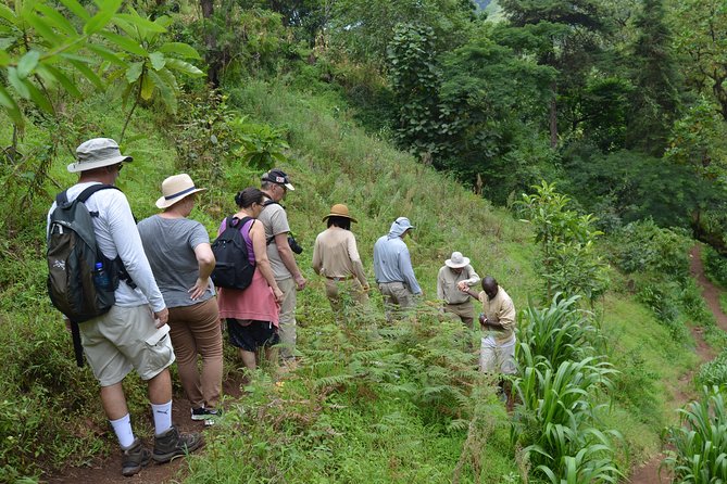 Mount Kilimanjaro day trip trekking - Who should book this experience?