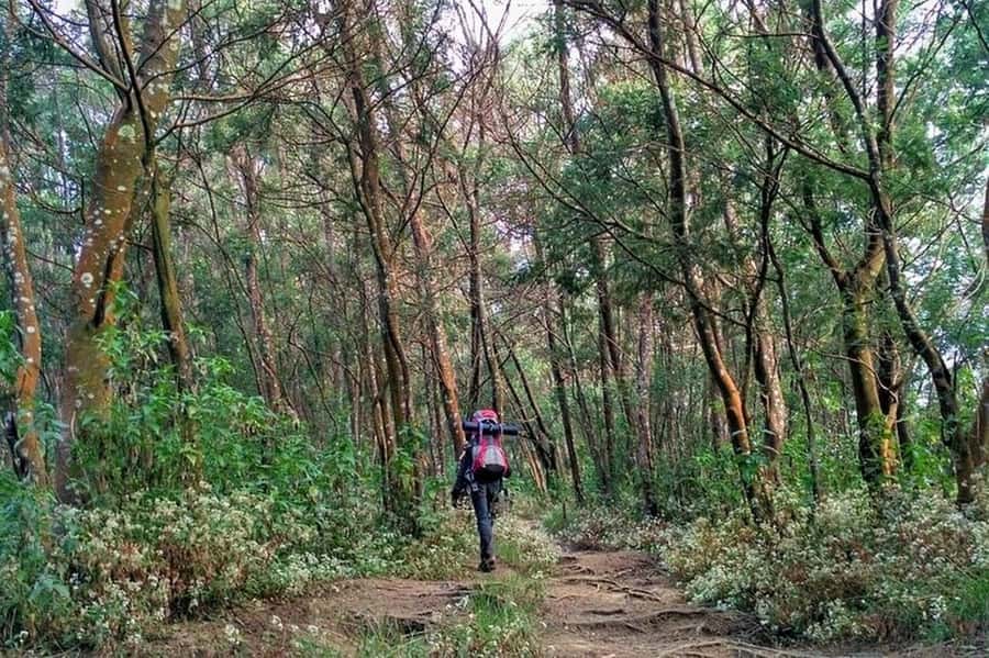 Mount Merbabu Hiking Tour 2D1N With Camping - Who should book this hike