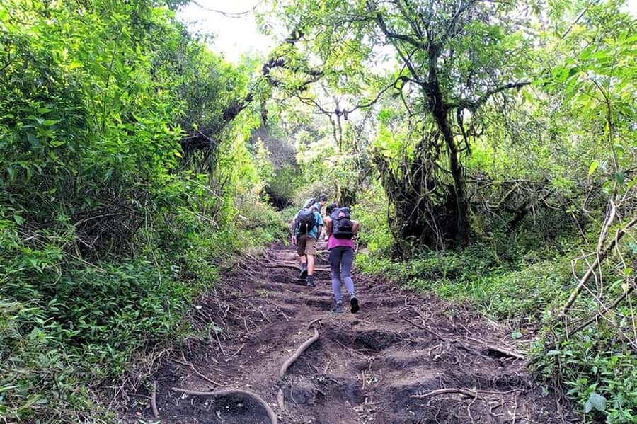 Mount Merbabu Hiking Tour 2D1N With Camping - A night in the tent under the stars